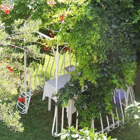 Travarevic Appartamento *